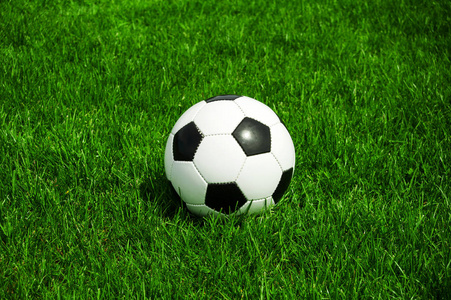 业余球队教练使用雷速体育比分雷进行战术分析