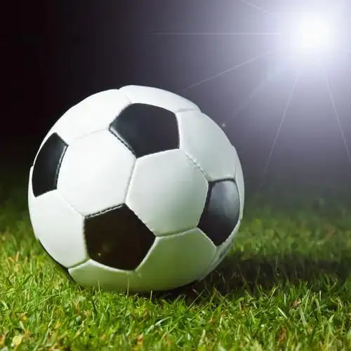 体育赛事组织者使用雷速体育比分雷了解行业动态